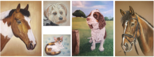 examples of pet portraits