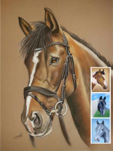 animal portraits in soft pastel - example of horses