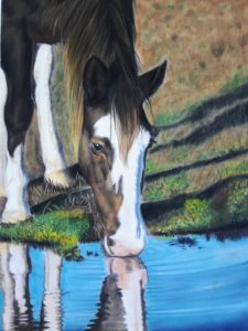 pastel horse portrait