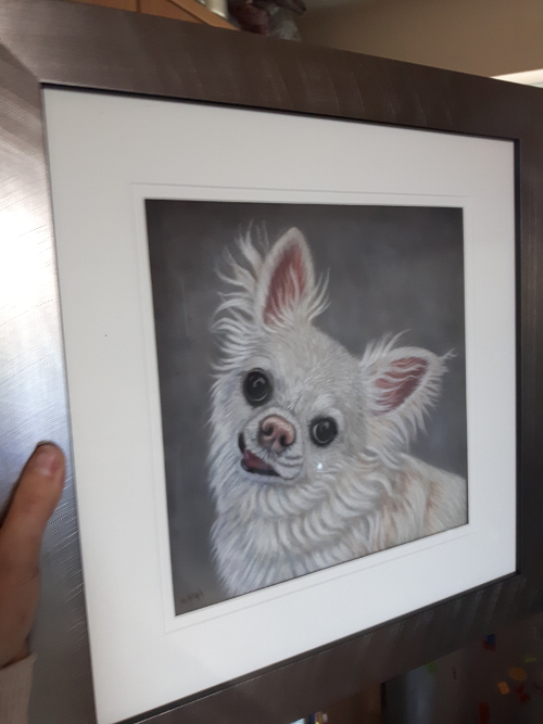 Framed portrait of Hugo Chihuahua