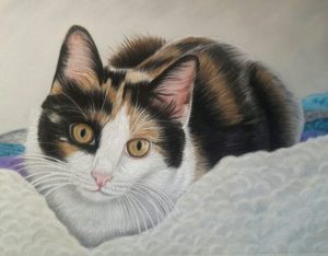 Pastel portrait of a tortoise shell kitten