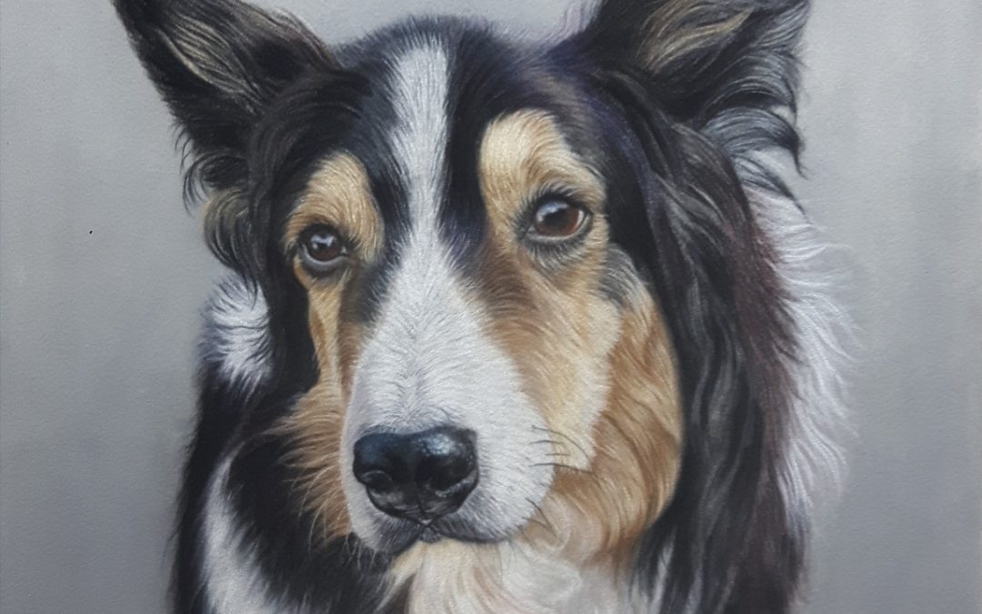 Trio of Dogs in Pastel