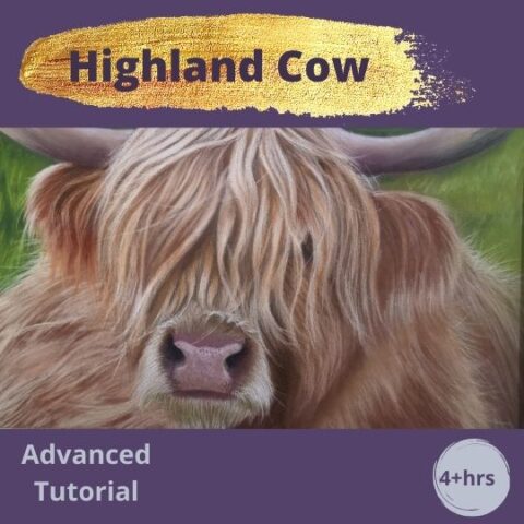 Highland Cow Tutorial - SKH Portraits