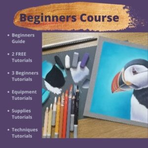 Soft Pastel For Beginners