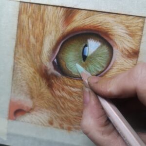 cat-eye-on-pastelmat