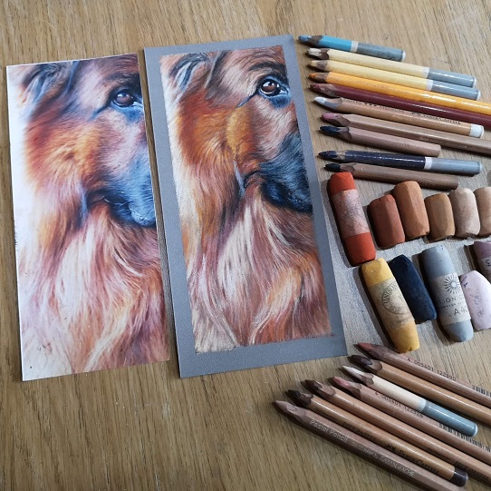 lion on wet and dry paper