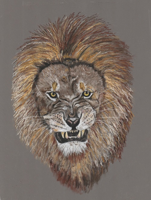 lion on wet and dry paper