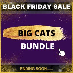 BIG CAT BUNDLE