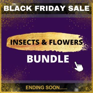 INSECTS & FLOWERS BUNDLE