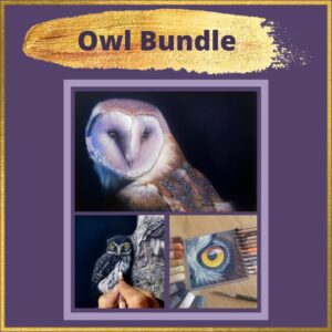 Owl Tutorial Bundle