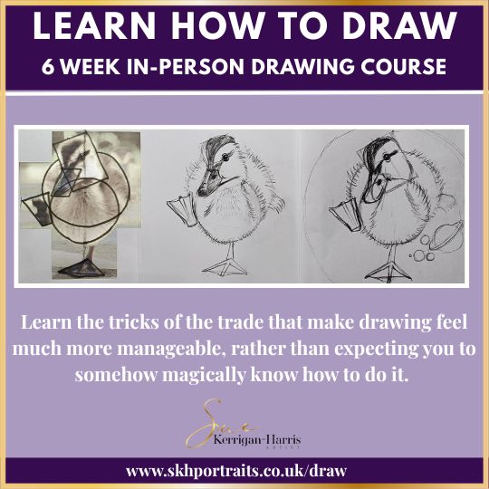 6 Week Drawing Course - Beginners 1 - Image 2