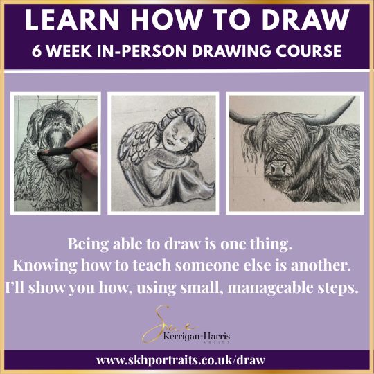 6 Week Drawing Course - Beginners 1 - Image 3