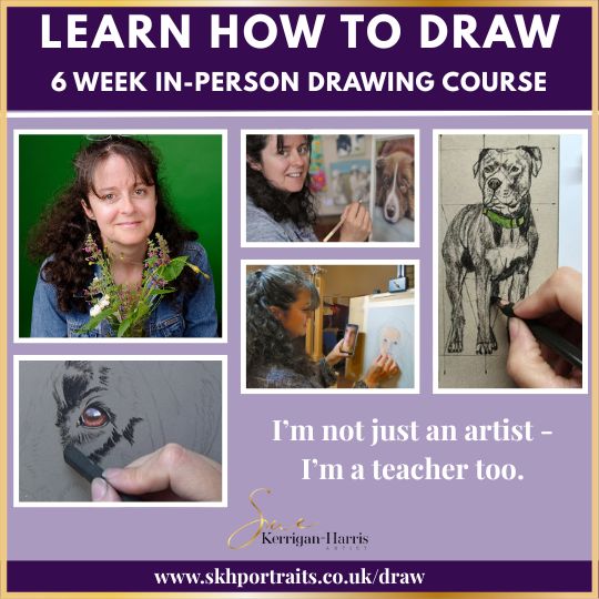 6 Week Drawing Course - Beginners 1 - Image 4