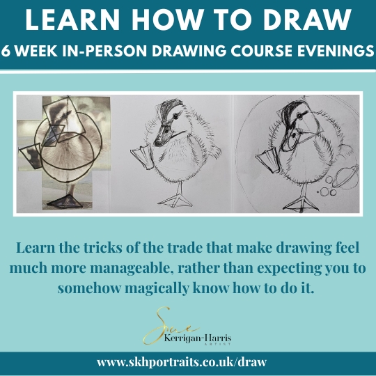 6 Week Drawing Course - Beginners 2 Evenings - Image 4