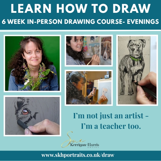 6 Week Drawing Course - Beginners 2 Evenings - Image 7