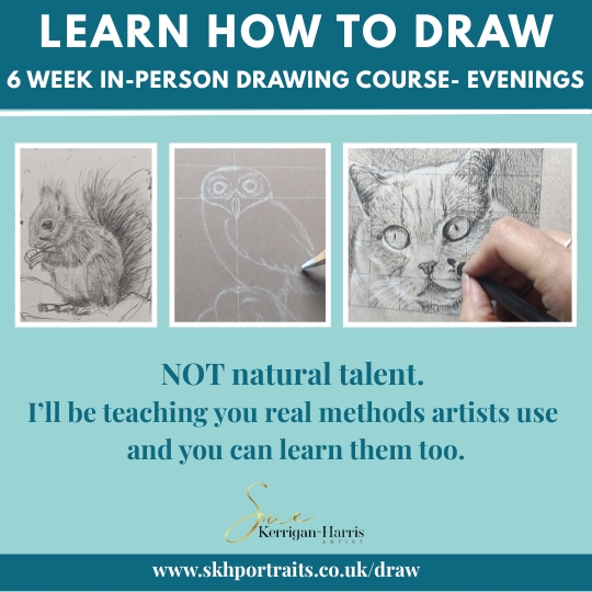 6 Week Drawing Course - Beginners 2 Evenings - Image 5