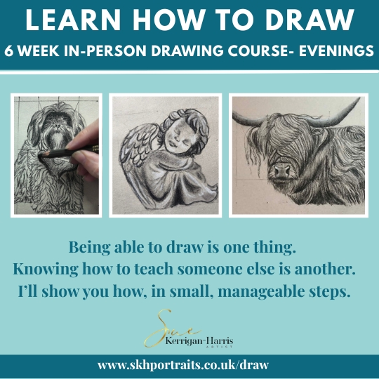 6 Week Drawing Course - Beginners 2 Evenings - Image 2